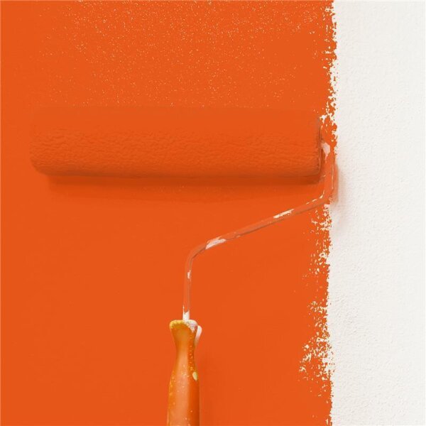 Wandfarbe Matt NCS-S-1080-Y70R WALLCOVER Colors