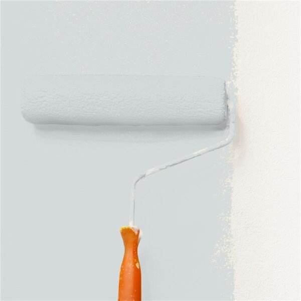 Wandfarbe Matt NCS-S-1502-B50G WALLCOVER Colors