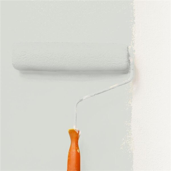 Wandfarbe Matt NCS-S-1502-G50Y WALLCOVER Colors