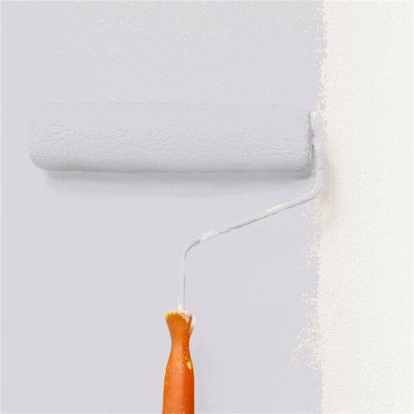 Wandfarbe Matt NCS-S-1502-R50B WALLCOVER Colors