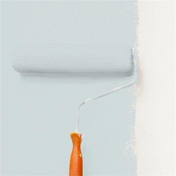 Wandfarbe Matt NCS-S-1505-B50G WALLCOVER Colors