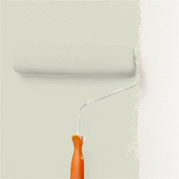 Wandfarbe Matt NCS-S-1505-G80Y WALLCOVER Colors