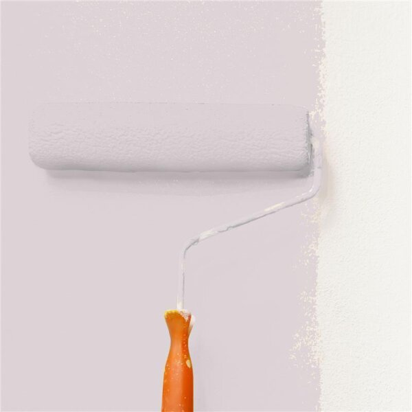 Wandfarbe Matt NCS-S-1505-R20B WALLCOVER Colors