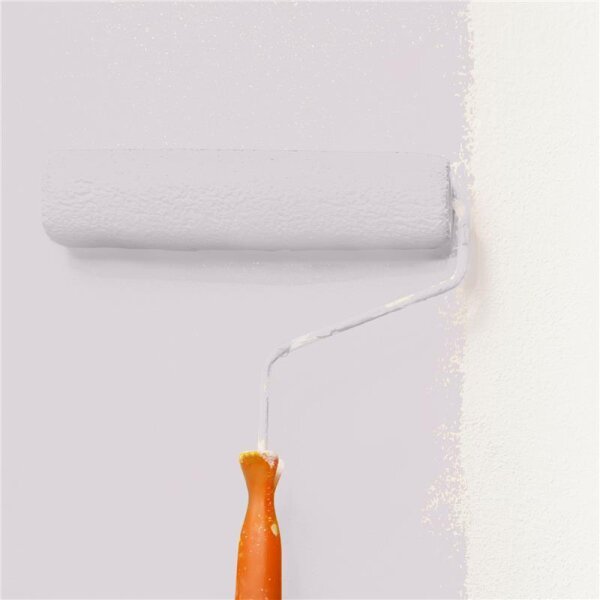 Wandfarbe Matt NCS-S-1505-R30B WALLCOVER Colors