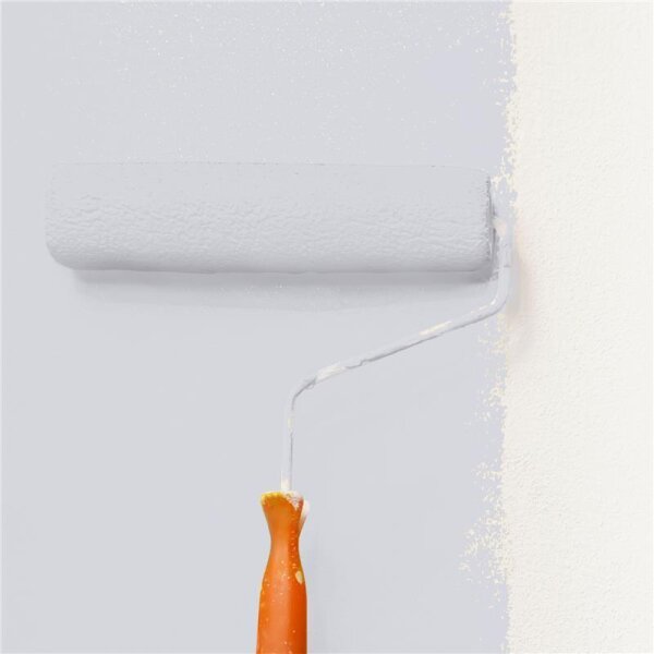 Wandfarbe Matt NCS-S-1505-R60B WALLCOVER Colors