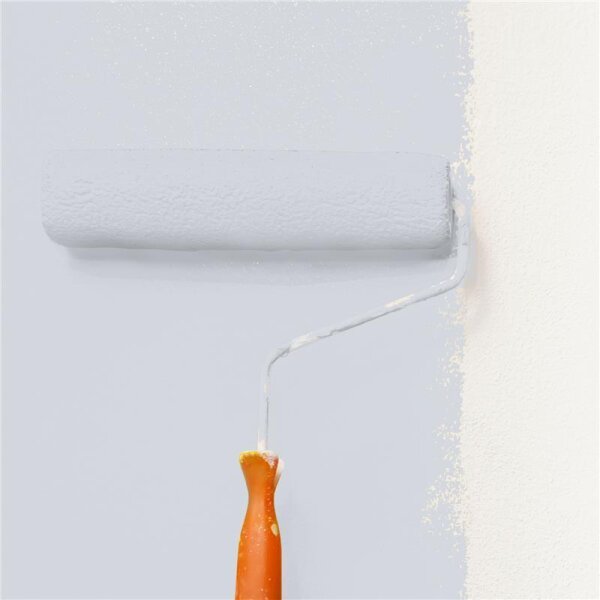 Wandfarbe Matt NCS-S-1505-R70B WALLCOVER Colors