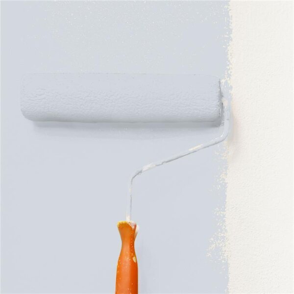 Wandfarbe Matt NCS-S-1505-R80B WALLCOVER Colors