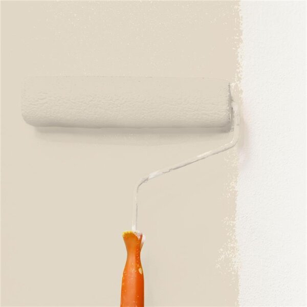 Wandfarbe Matt NCS-S-1505-Y30R WALLCOVER Colors