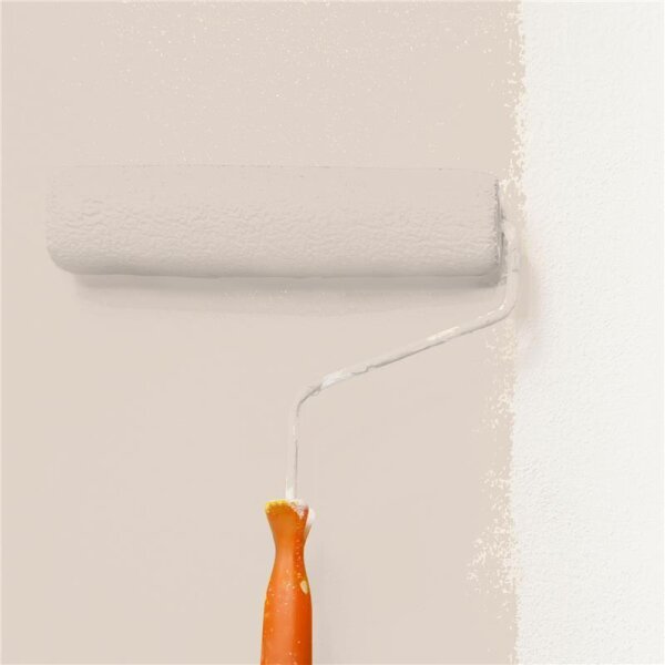 Wandfarbe Matt NCS-S-1505-Y60R WALLCOVER Colors