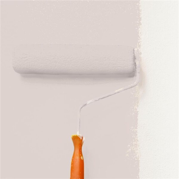 Wandfarbe Matt NCS-S-1505-Y80R WALLCOVER Colors