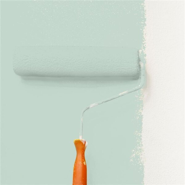 Wandfarbe Matt NCS-S-1510-G WALLCOVER Colors