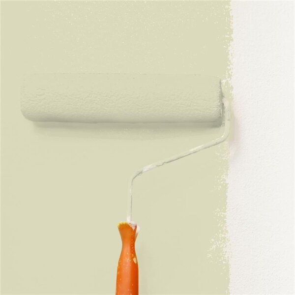 Wandfarbe Matt NCS-S-1510-G80Y WALLCOVER Colors