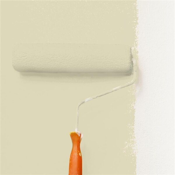 Wandfarbe Matt NCS-S-1510-G90Y WALLCOVER Colors