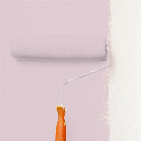 Wandfarbe Matt NCS-S-1510-R20B WALLCOVER Colors