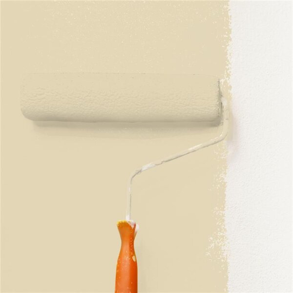 Wandfarbe Matt NCS-S-1510-Y10R WALLCOVER Colors
