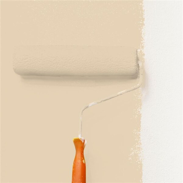 Wandfarbe Matt NCS-S-1510-Y30R WALLCOVER Colors