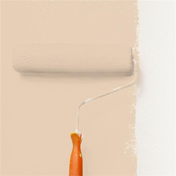 Wandfarbe Matt NCS-S-1510-Y40R WALLCOVER Colors