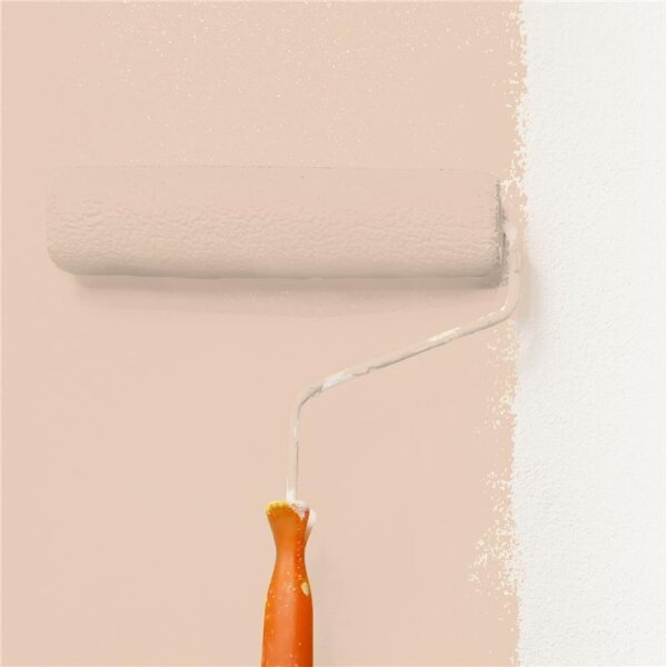 Wandfarbe Matt NCS-S-1510-Y50R WALLCOVER Colors