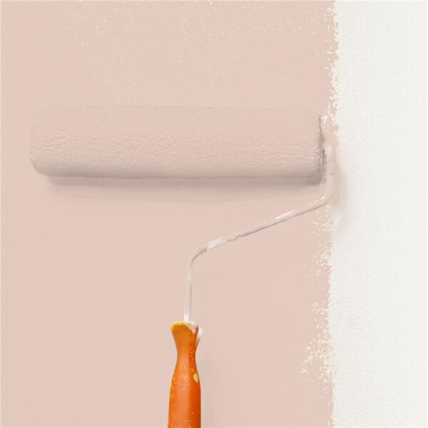 Wandfarbe Matt NCS-S-1510-Y70R WALLCOVER Colors