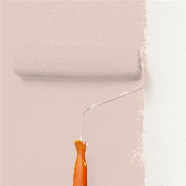 Wandfarbe Matt NCS-S-1510-Y80R WALLCOVER Colors
