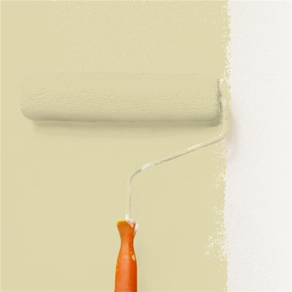 Wandfarbe Matt NCS-S-1515-G90Y WALLCOVER Colors