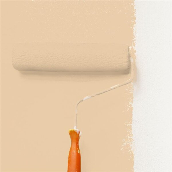 Wandfarbe Matt NCS-S-1515-Y30R WALLCOVER Colors