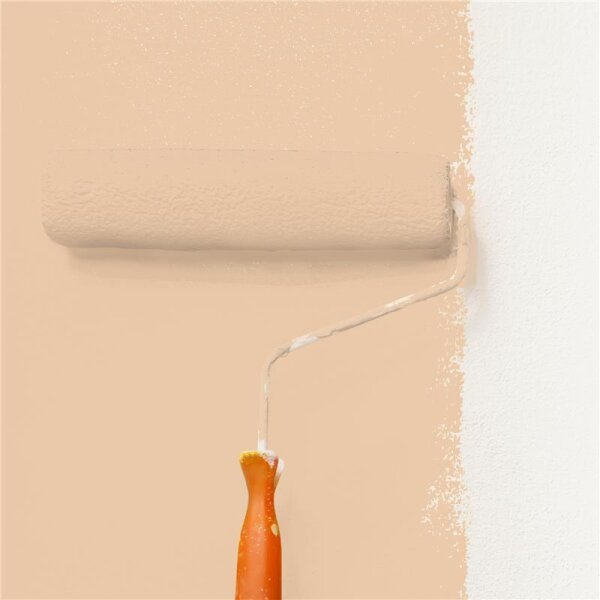 Wandfarbe Matt NCS-S-1515-Y40R WALLCOVER Colors