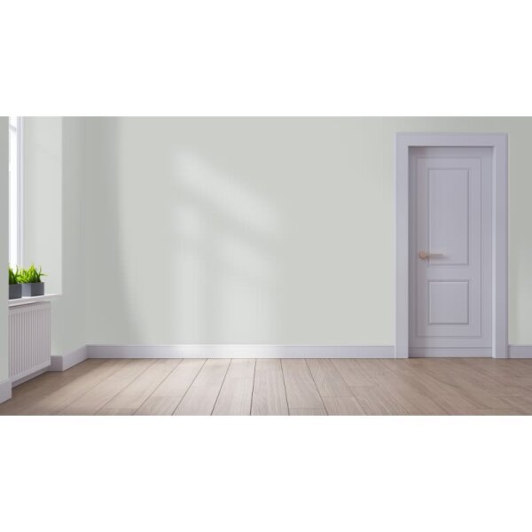 Wandfarbe Matt NCS-S-2002-G50Y WALLCOVER Colors