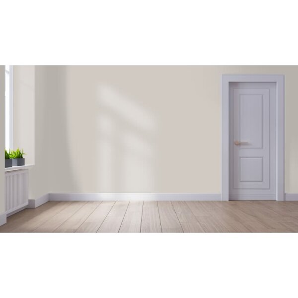 Wandfarbe Matt NCS-S-2002-Y50R WALLCOVER Colors
