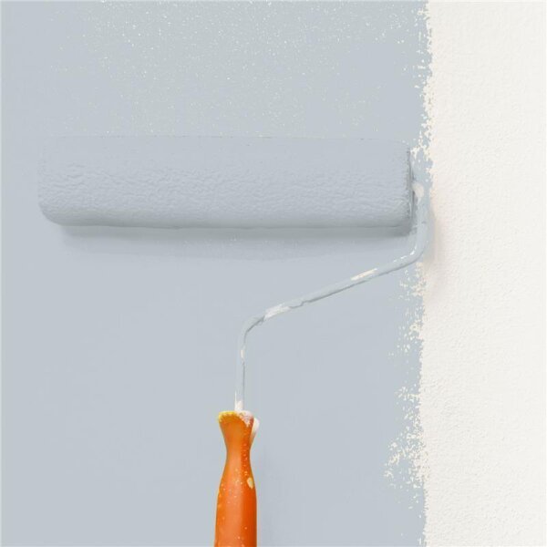 Wandfarbe Matt NCS-S-2005-B WALLCOVER Colors