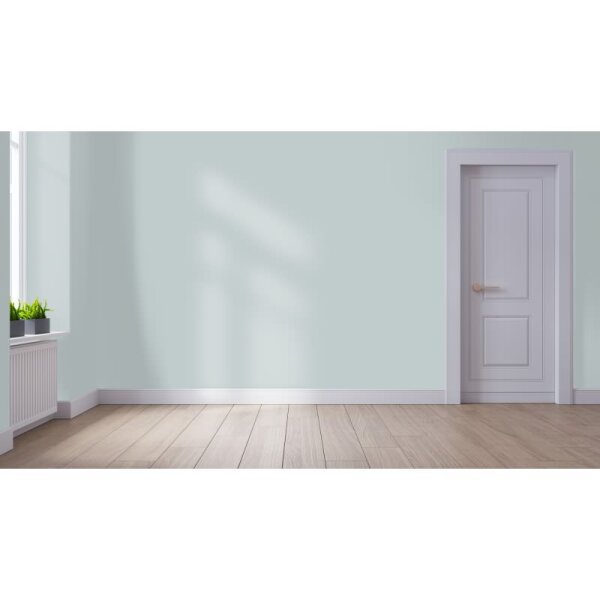 Wandfarbe Matt NCS-S-2005-B50G WALLCOVER Colors