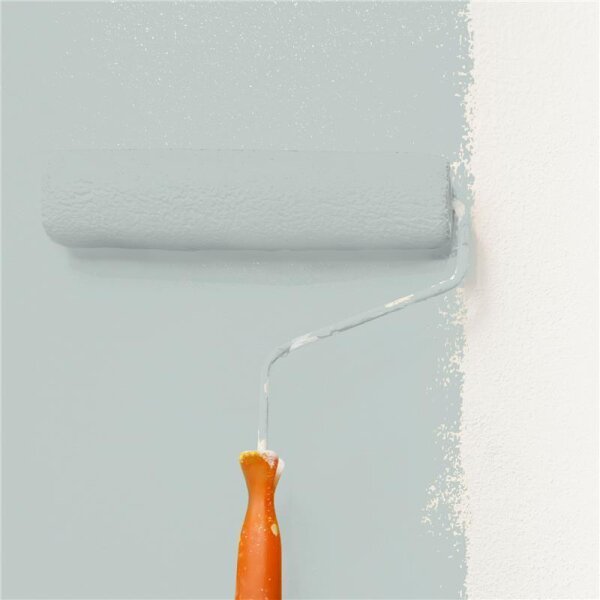 Wandfarbe Matt NCS-S-2005-B80G WALLCOVER Colors