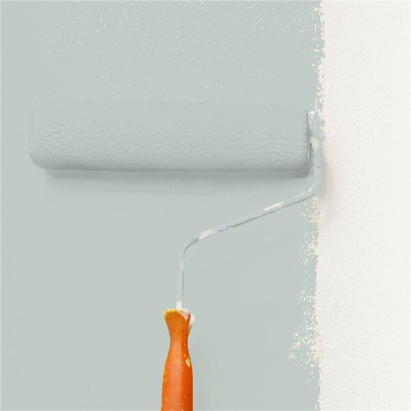 Wandfarbe Matt NCS-S-2005-G WALLCOVER Colors
