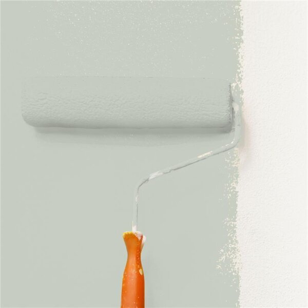 Wandfarbe Matt NCS-S-2005-G40Y WALLCOVER Colors