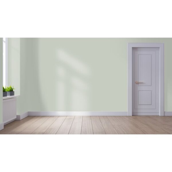 Wandfarbe Matt NCS-S-2005-G40Y WALLCOVER Colors