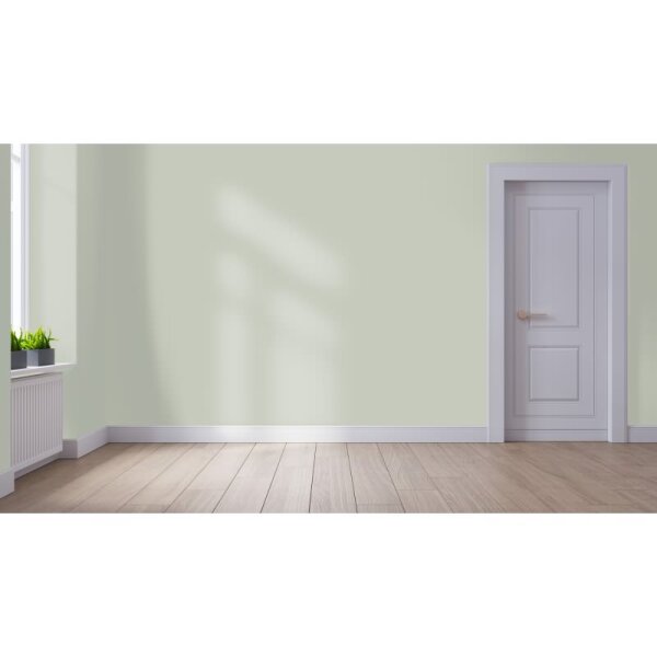 Wandfarbe Matt NCS-S-2005-G50Y WALLCOVER Colors