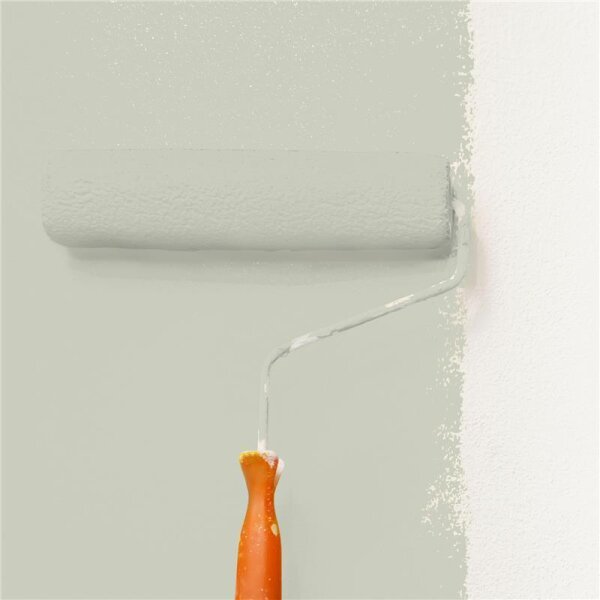 Wandfarbe Matt NCS-S-2005-G70Y WALLCOVER Colors