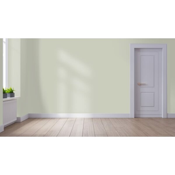 Wandfarbe Matt NCS-S-2005-G70Y WALLCOVER Colors