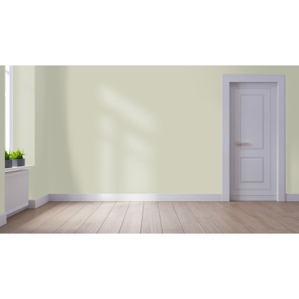 Wandfarbe Matt NCS-S-2005-G80Y WALLCOVER Colors