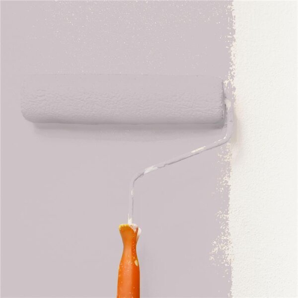 Wandfarbe Matt NCS-S-2005-R20B WALLCOVER Colors