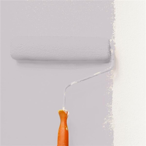 Wandfarbe Matt NCS-S-2005-R30B WALLCOVER Colors