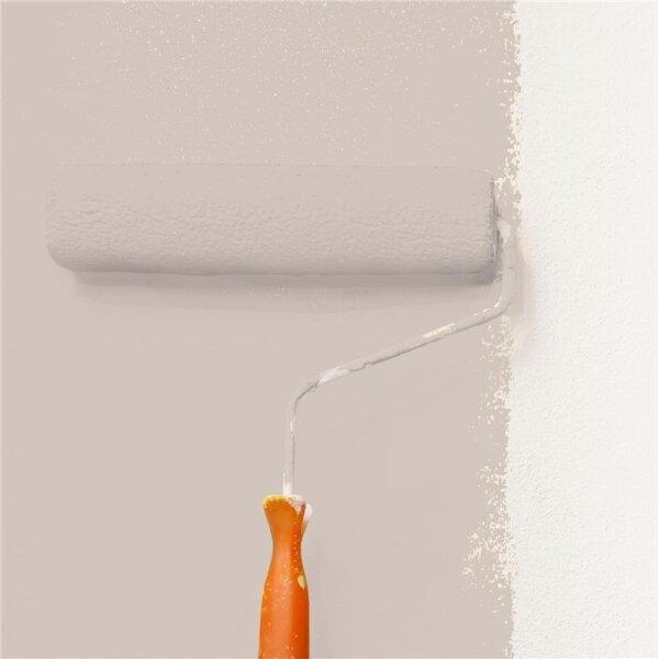 Wandfarbe Matt NCS-S-2005-Y70R WALLCOVER Colors