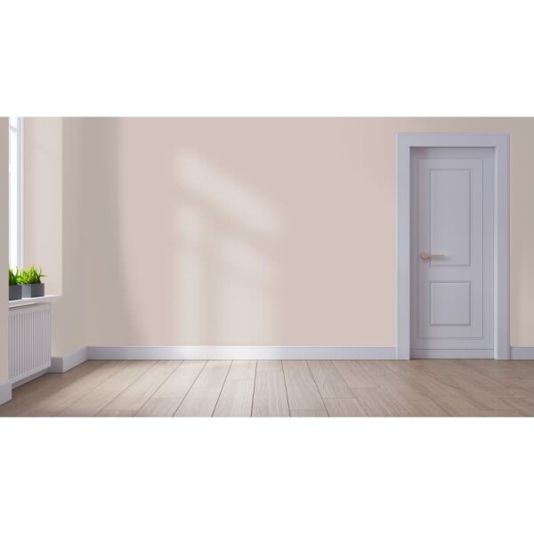 Wandfarbe Matt NCS-S-2005-Y70R WALLCOVER Colors
