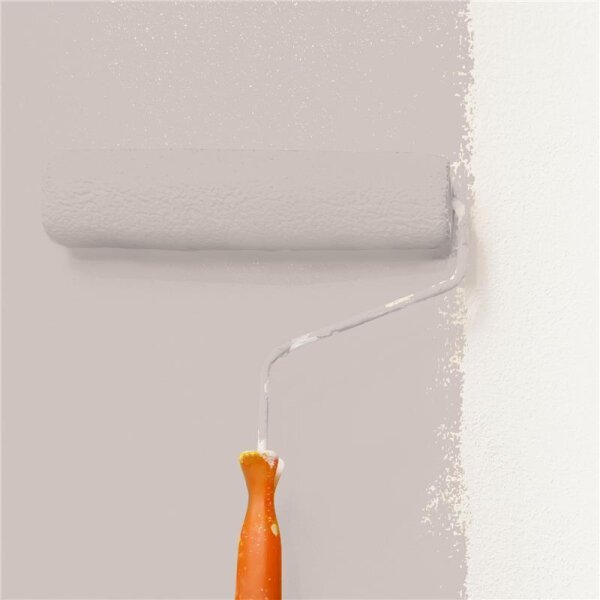Wandfarbe Matt NCS-S-2005-Y80R WALLCOVER Colors