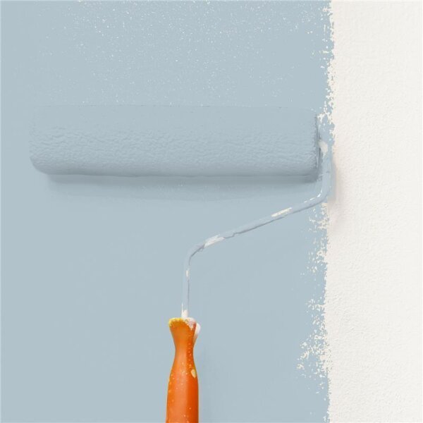 Wandfarbe Matt NCS-S-2010-B WALLCOVER Colors