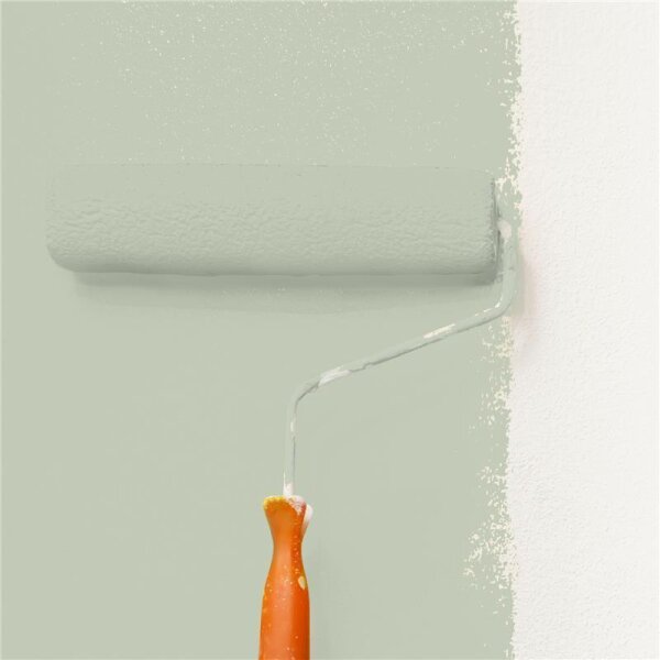 Wandfarbe Matt NCS-S-2010-G40Y WALLCOVER Colors