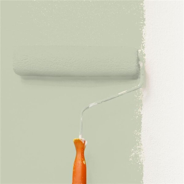 Wandfarbe Matt NCS-S-2010-G50Y WALLCOVER Colors