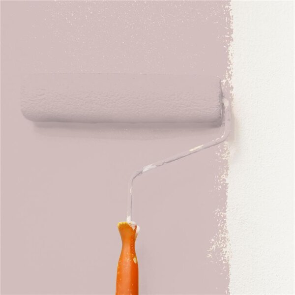 Wandfarbe Matt NCS-S-2010-R WALLCOVER Colors