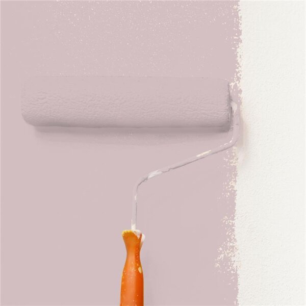 Wandfarbe Matt NCS-S-2010-R10B WALLCOVER Colors