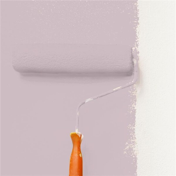 Wandfarbe Matt NCS-S-2010-R20B WALLCOVER Colors
